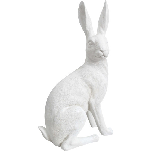 Photograph of White Hare