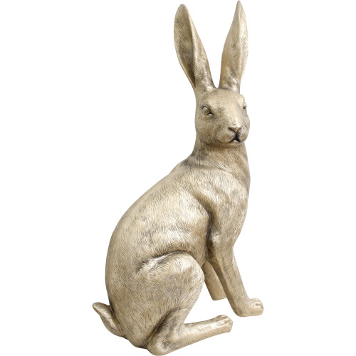 Photograph of Champagne Hare