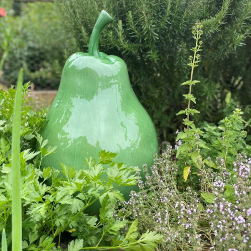 Photograph of Oversized Green Pear