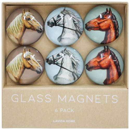 Photograph of Horse Glass Magnets