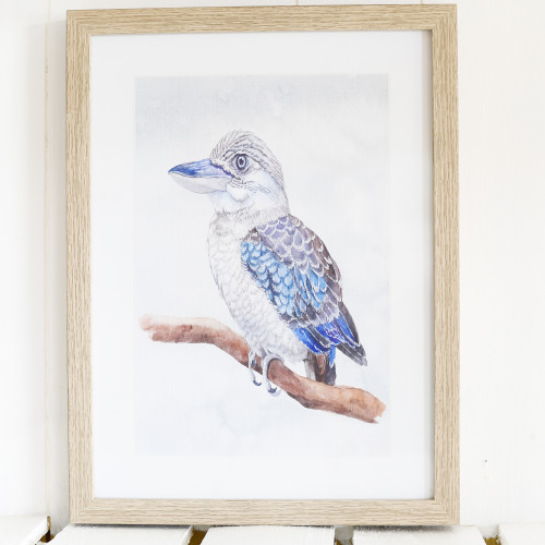 Photograph of Kookaburra Print