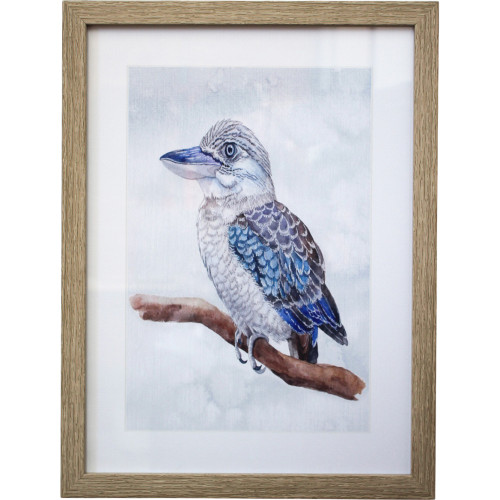 Photograph of Kookaburra Print