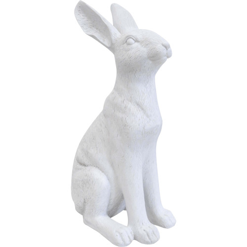 Photograph of Sitting Hare Gold or White