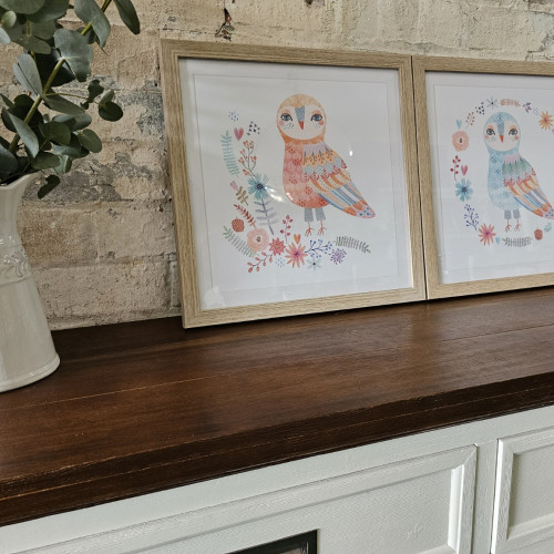 Photograph of Owls prints